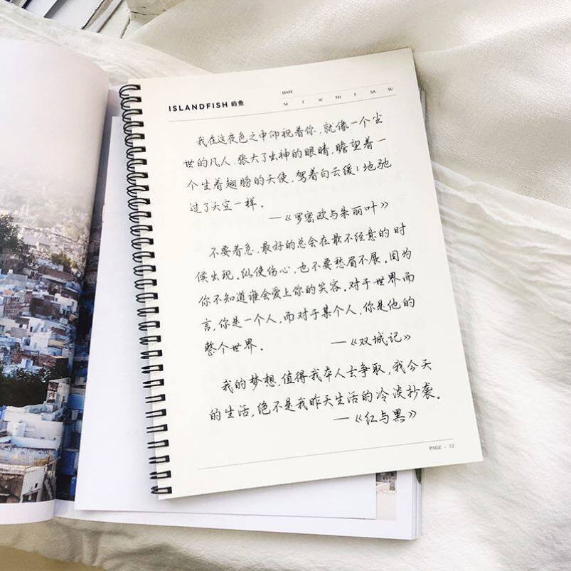 行楷字体落鲸体练字帖女生字体漂亮鲸落体语文奶酪体书法成年钢笔