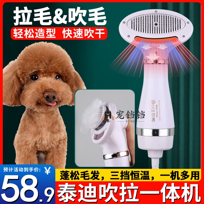 泰迪专用狗狗洗澡电吹风机宠物吹毛拉毛梳狗毛一体机小狗拉毛神器