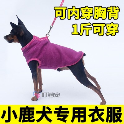 小鹿犬专用衣服狗狗冬天加绒马甲背心秋冬季保暖迷你小体一斤小狗