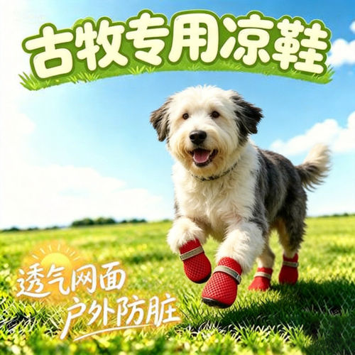 古牧幼犬专用狗狗凉鞋小狗鞋子夏透气宠物狗鞋夏季夏天网鞋四季款