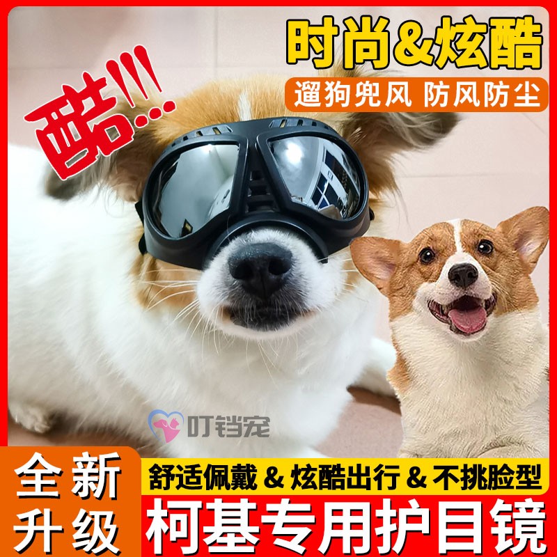 柯基专用狗狗护目镜佩戴饰品小狗墨镜狗眼镜宠物过年装饰外出装备