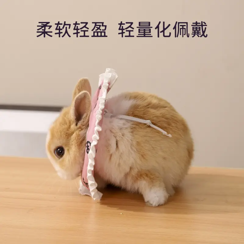 小寵伊麗莎白圈金絲熊荷蘭豬豚鼠