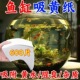 鱼缸吸色片去黄水污力丸净水宝活性净化水质清澈剂鱼缸除黄水绿水