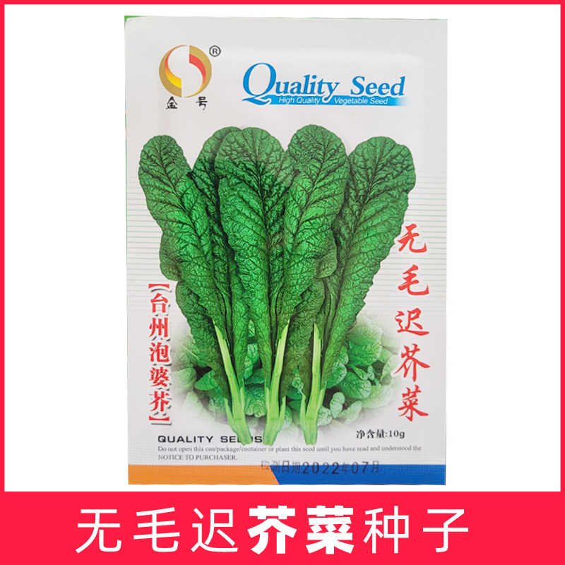 无毛迟芥菜 台州泡婆芥腌菜种子农家院子蔬菜种籽棒菜笋菜头秋春