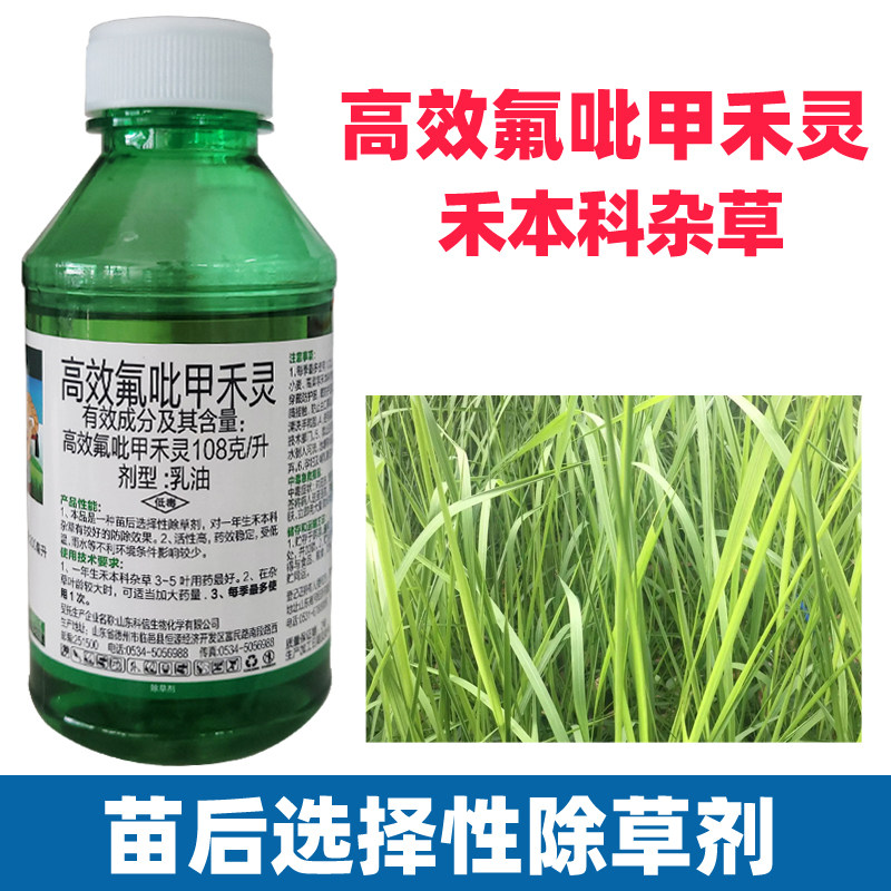 高效氟呲甲禾灵黄西瓜白菜黄精红薯魔芋辣椒苗后除草剂强力烂根剂
