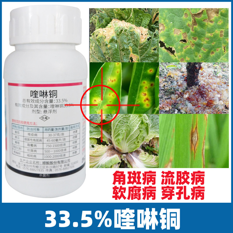 喹啉铜黄瓜杨梅细菌性角斑病