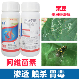 轰击阿维菌素菜豆蔬菜美洲斑潜蝇画图虫鬼画符潜叶杀虫剂农药大全
