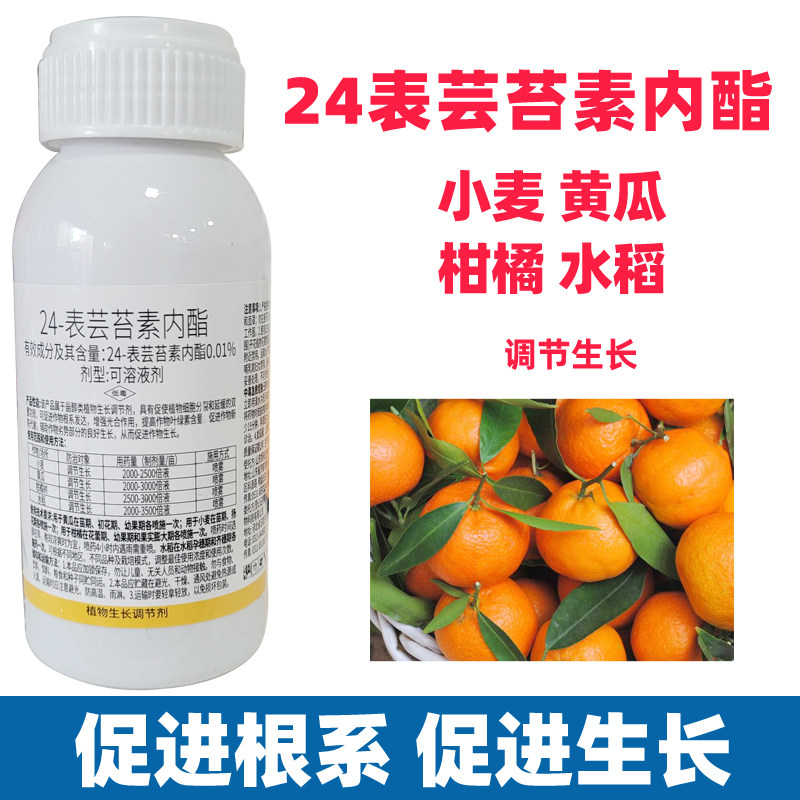 24表芸苔素内酯植物生长调节剂细胞分裂素植物营养液麦柑橘树黄瓜