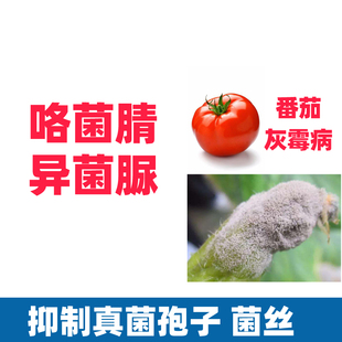 咯菌腈异菌脲小番茄西红柿专用灰霉病发霉蔬菜植物杀菌剂农药大全