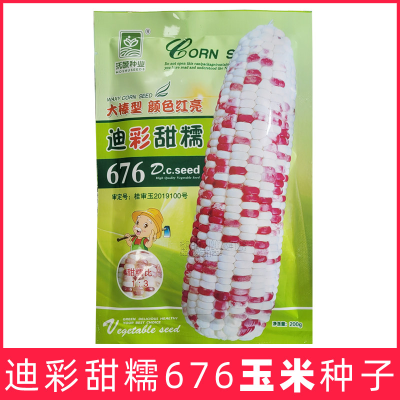 迪彩甜糯676花玉米种子甜加糯彩玉米种籽口感好高产春秋广西浙江