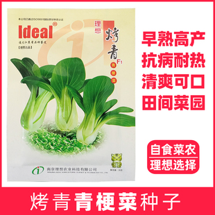 理想烤青上海青种子种籽青梗菜鸡毛菜苏州小油菜蔬菜四季种孑阳台