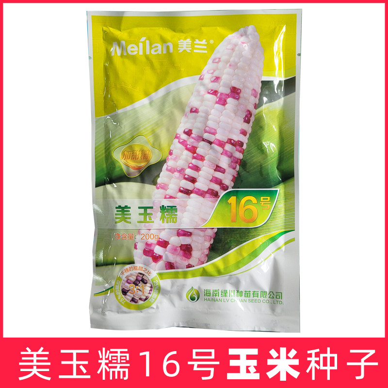 美兰美玉糯16号玉米种子彩红色超甜糯高产早熟浙江大棒玉米种籽