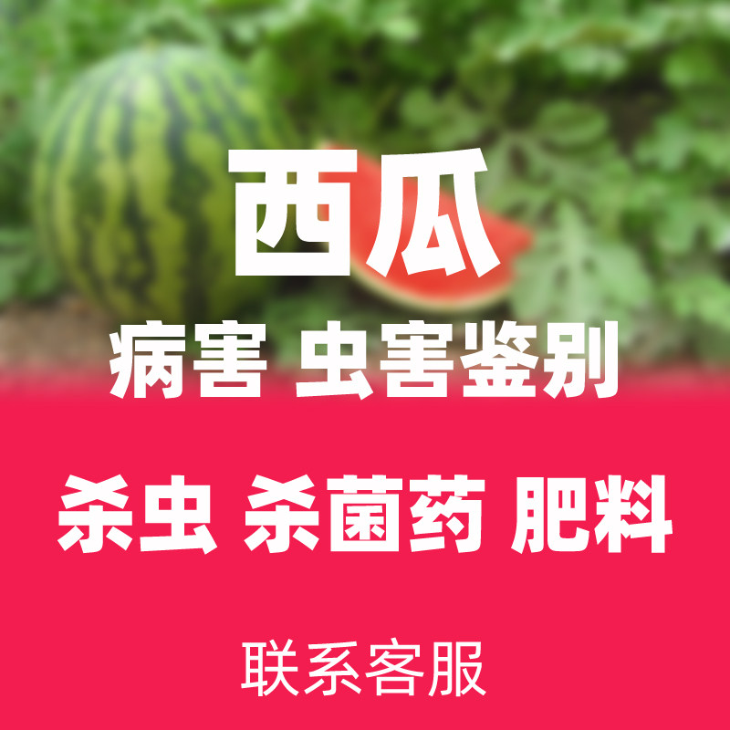 西瓜防治黄叶烂根烂叶病肥料专用药大全病毒病西瓜虫杀虫杀菌剂