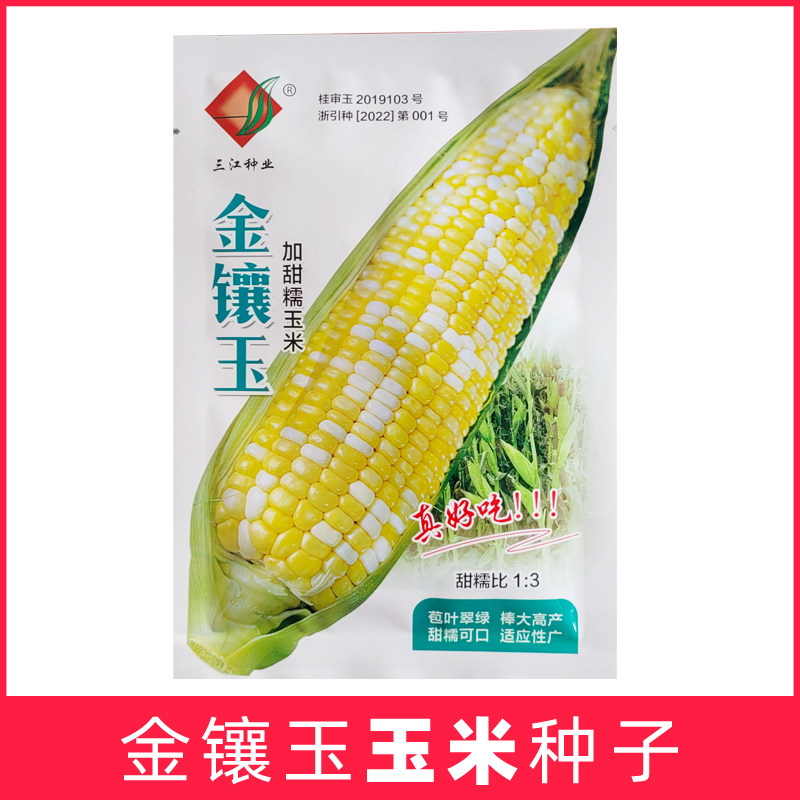 金镶玉加甜糯玉米种子鲜食水果玉米好吃高产大棒高产多汁浙江种籽
