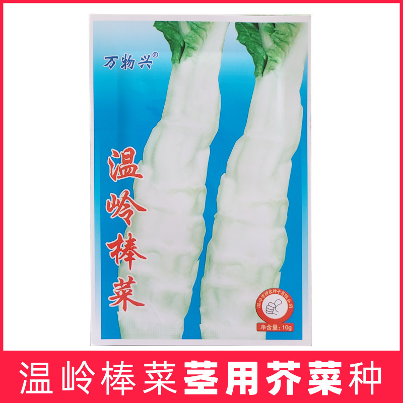 台州温岭棒菜薄皮棒菜种子茎用芥菜介菜子青笋菜头籽蔬菜晒梅干菜