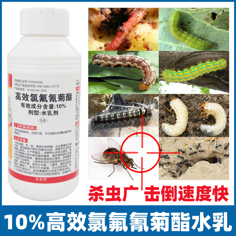 毛毛虫杀虫剂杀蚊子苍蝇蟑螂蚂蚁杀跳蚤药专用厕所杀蛆氯氰氟菊酯