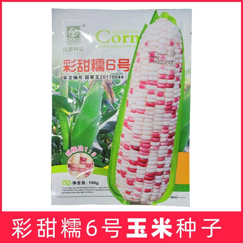 彩甜糯6号玉米种子彩色加甜糯鲜食水果玉米江浙沪春秋高产大棒孑