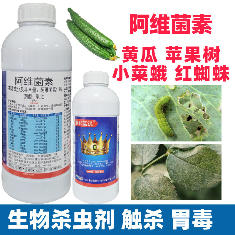 小菜蛾梨木虱菜青虫锈壁虱