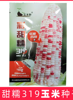 艾米歌彩甜糯319玉米种子软糯香鲜食玉米种籽大全春夏秋浙江大棒
