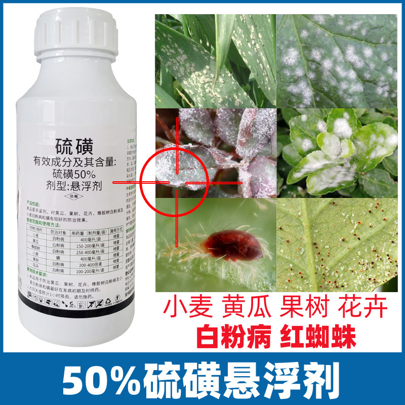鼎泰和硫磺水悬浮剂小麦果树花卉黄瓜西瓜白粉病螨虫红蜘蛛杀菌剂