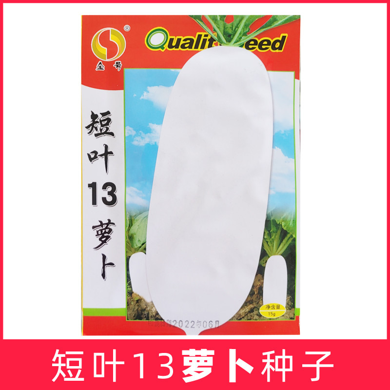 金号短叶13白萝卜种子甜脆菜头快早农家高产菜籽阳台盆栽40天浙江