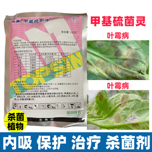 甲基硫灵菌甲基托布津杀菌剂可湿性粉剂兰花芒果辣椒小麦专用农药
