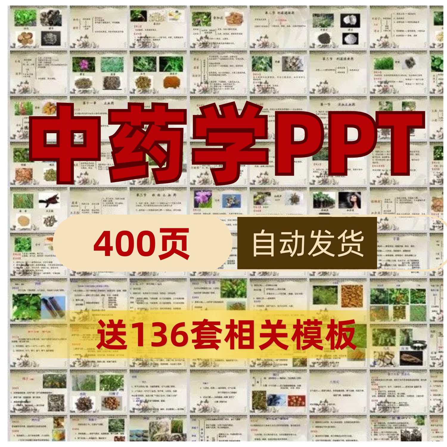 中药学PPT课件基础理论中草药知识备课培训成品模板说课教学讲课