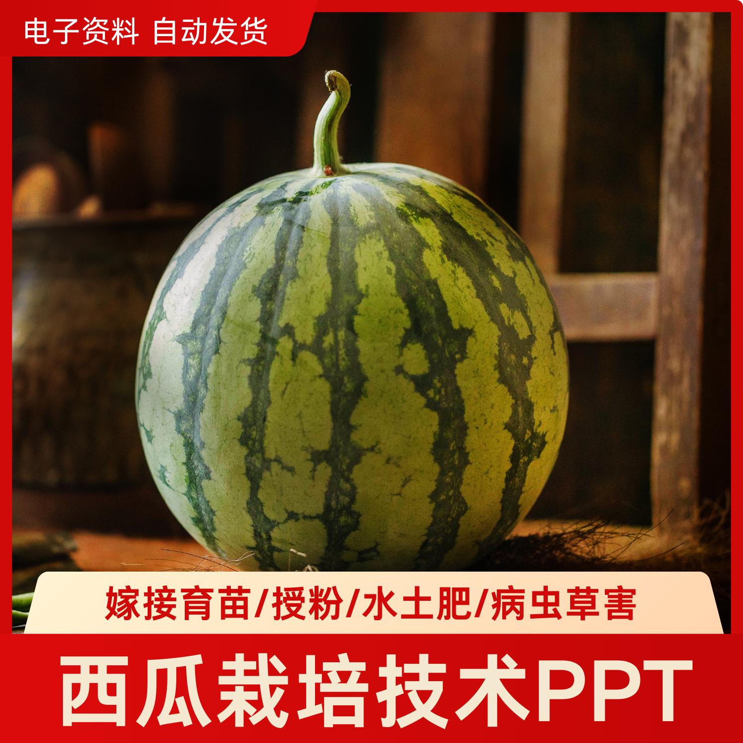 西瓜栽培技术PPT课件高效种植管理要点嫁接育苗病虫草害施肥授粉