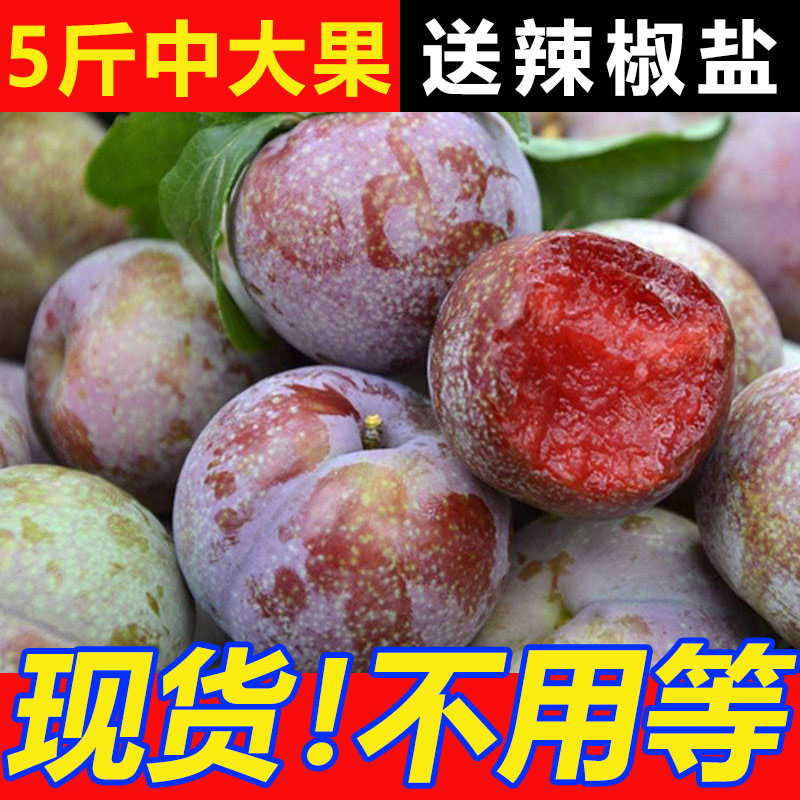 李憲強著