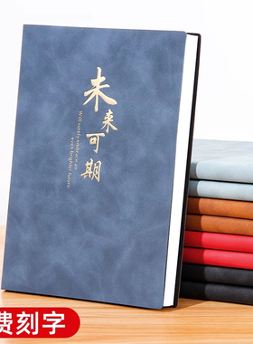 笔记本本子高颜值2025年新款简约ins风学生日记本礼盒套装加厚商务办公会议记录本a5工作记事本定制可印logo