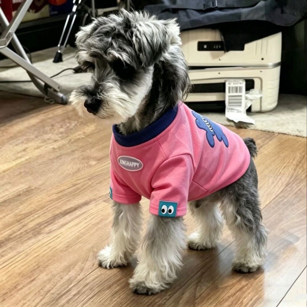 小狗宠物比熊狗衣服夏天薄款小型犬雪纳瑞泰迪狗狗衣服狗衣服秋