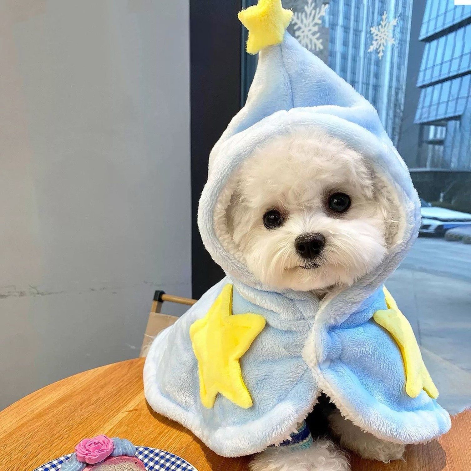 狗狗睡袍披风斗篷星星睡袋猫咪衣服秋毯子小狗睡觉保暖被子双层绒