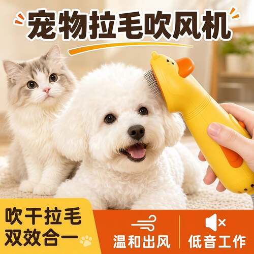 宠物专用吹风机猫狗烘干拉毛神器