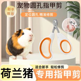 荷兰猪专用指甲剪套装仓鼠小宠指甲刀指甲钳盲剪圆孔豚鼠生活用品