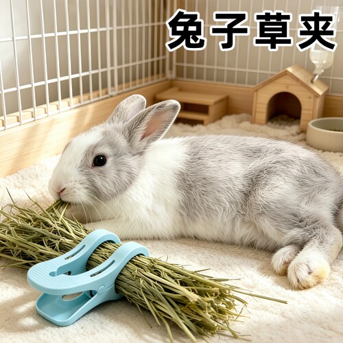 兔子荷兰猪塑料草夹防浪费防扒