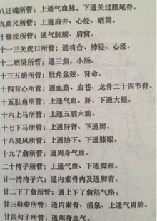 胡青耀八把半锁 道家三十六把锁 36把 12把锁 十二把锁推拿还阳术