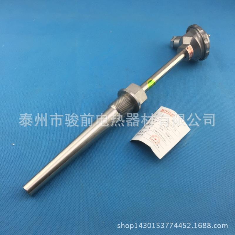 WRN-30装热电铠 工业2化工热电阻 铠装热电偶线型热阻电偶pt100