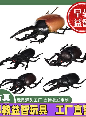 仿真昆虫模型实心甲虫 独角仙昆虫小动物儿童模型玩具C-77