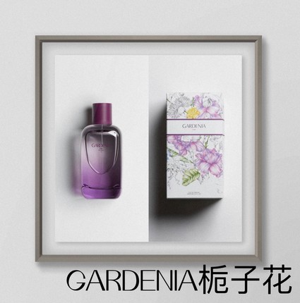 ZARA GARDENIA栀子花 专柜正品女士香