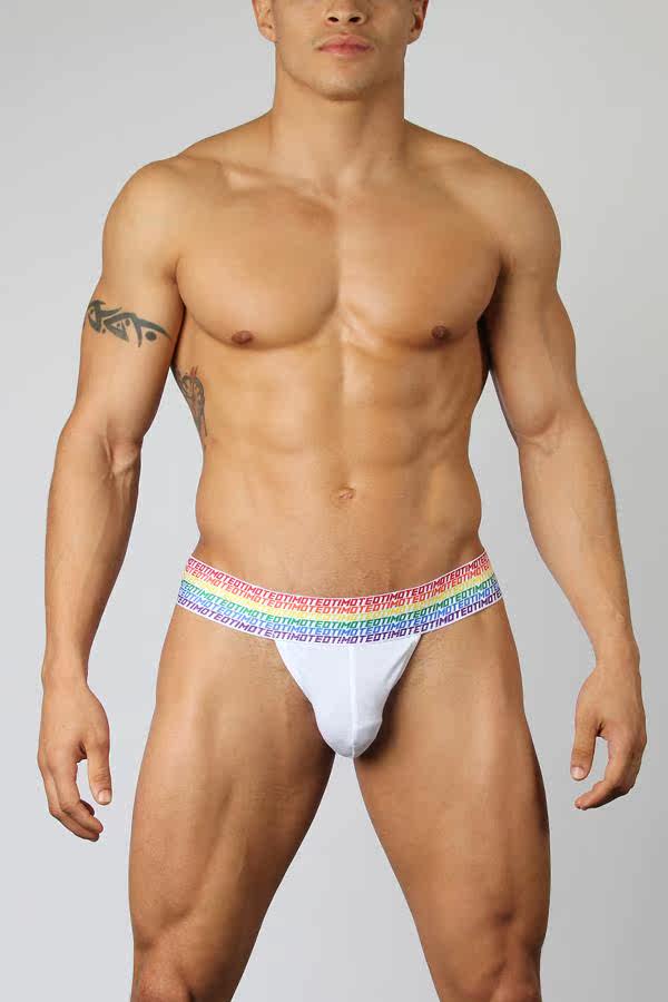 TIMOTEO  PRIDE  彩虹款限定系列男士低腰緊身丁字內褲 TMU118在類目 女士內衣/男士內衣/家居服, 內褲中 - 來自Buy2taobao.com提供專業的淘寶代購服務