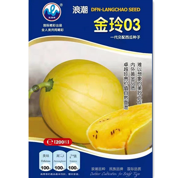 黄皮黄瓤西瓜种子 礼品红玉小凤麒麟瓜西瓜种籽春秋蔬菜种孑苗秧 - 实物图