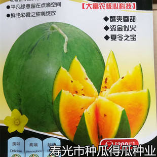 彩瓤夏宝西瓜种子 早熟糖度高口感好 特色优质大田基地西瓜种籽