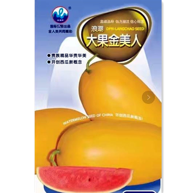 大果金美人西瓜种子黑美人懒汉美都8424西瓜种籽春秋蔬菜种孑苗秧