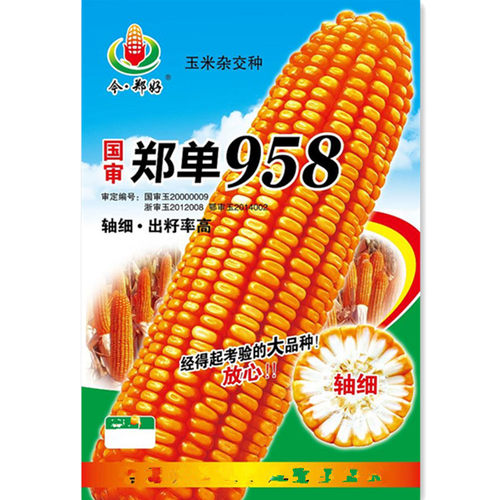 郑单958杂交大田玉米种籽大全