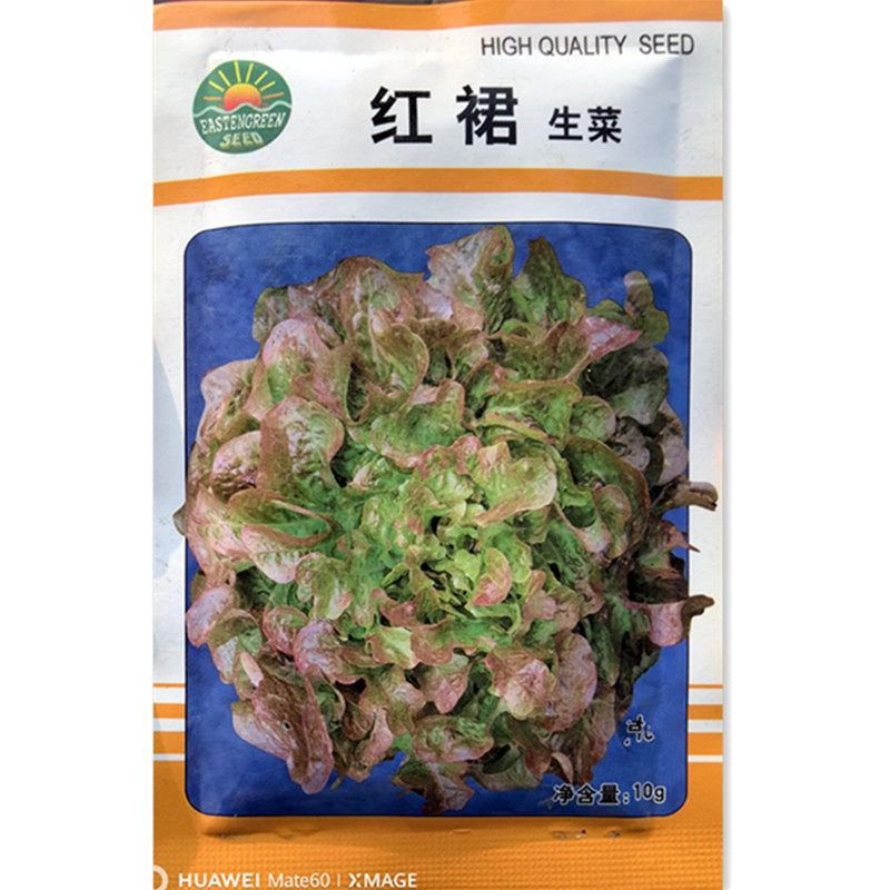 红裙生菜种子春秋大田阳台盆栽蔬菜种孑苗易种生菜种籽青菜叶菜