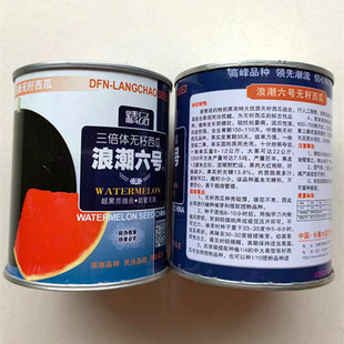 三倍体无籽西瓜种子黑皮红瓤特大西瓜种籽苗8424甜王蔬菜水果种孑
