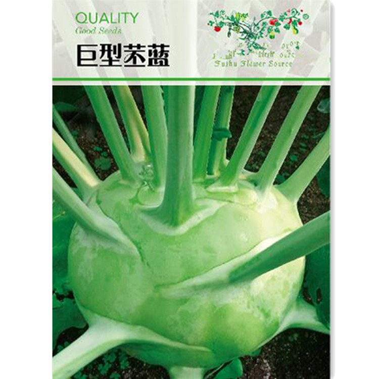特大巨型苤蓝种子 观光园采摘园特色蔬菜种籽春秋四季蔬菜孑苗秧