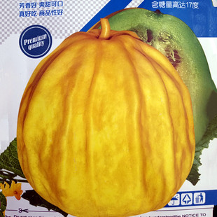 丑八怪甜瓜种子春秋四季阳台盆栽蔬菜种孑香瓜羊角蜜西瓜种籽苗秧