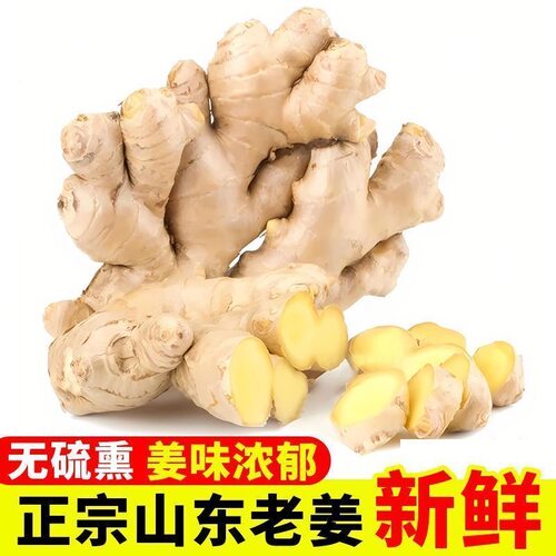 正宗现挖现发山东生姜老姜大姜姜新鲜应季水洗风干生姜月子姜农场