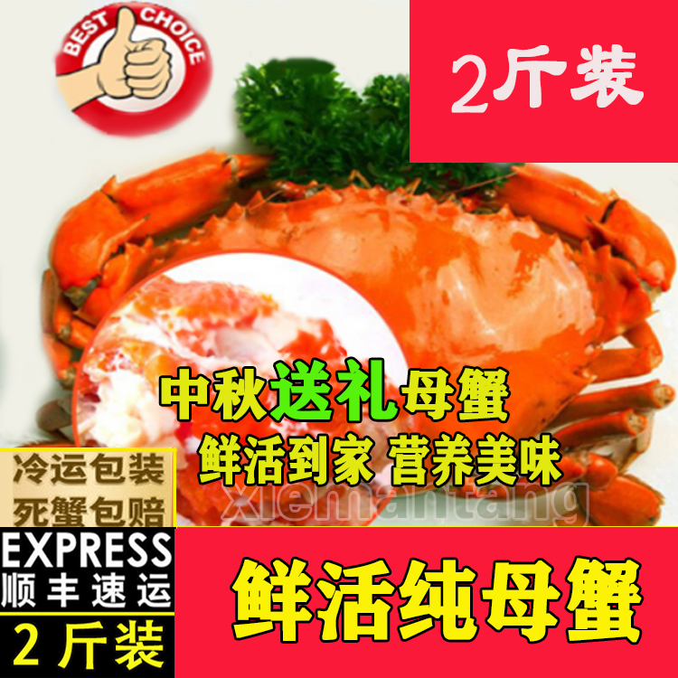 青蟹肉蟹母蟹青蟹红膏蟹特价